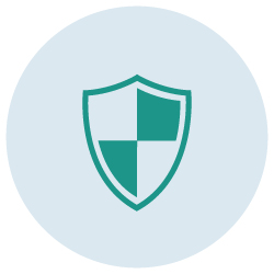 Cyber Security Icon