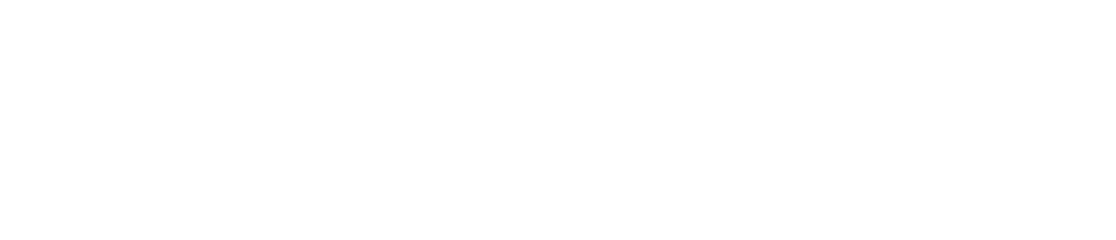 NVLogo_2D_White