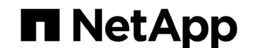 NetApp logo